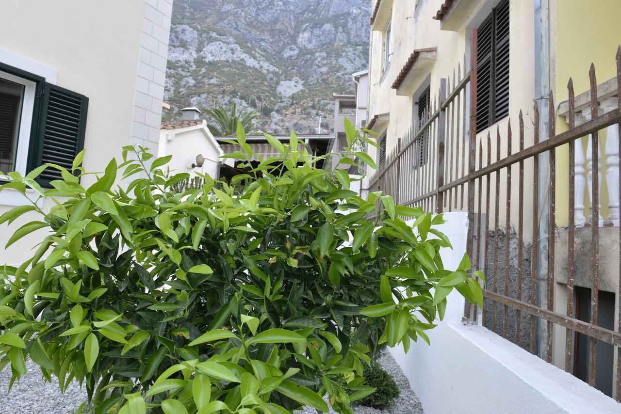Melodia Del Mare Daire Kotor Dış mekan fotoğraf